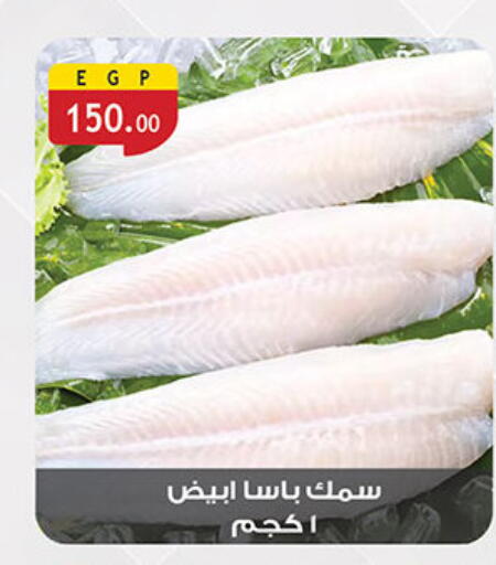 available at Al Rayah Market   in Egypt - Cairo