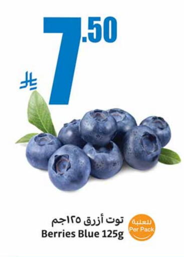 توت available at أسواق عبد الله العثيم in مملكة العربية السعودية, السعودية, سعودية - عرعر