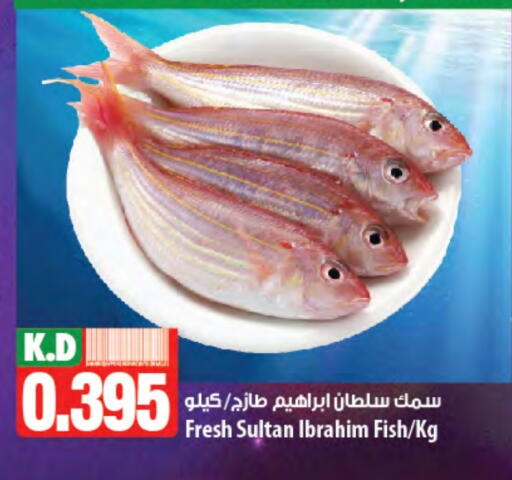 Mango available at مانجو هايبرماركت in الكويت - محافظة الأحمدي