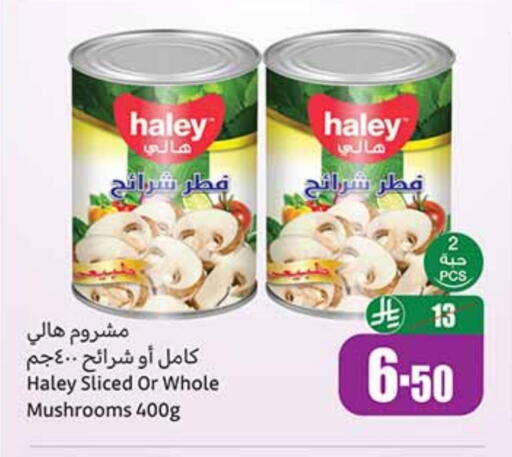 HALEY available at Othaim Markets in KSA, Saudi Arabia, Saudi - Sakaka
