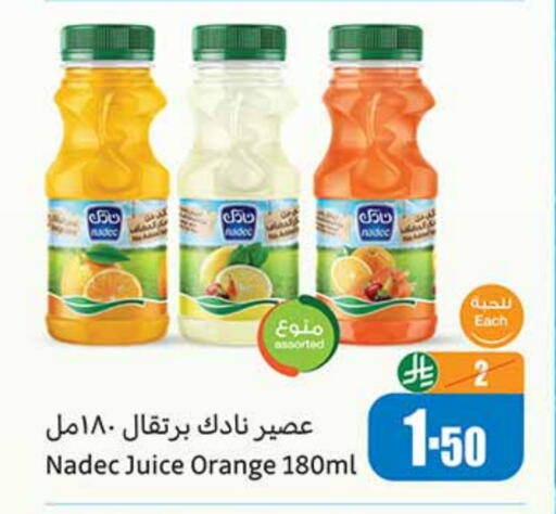 NADEC available at Othaim Markets in KSA, Saudi Arabia, Saudi - Ar Rass