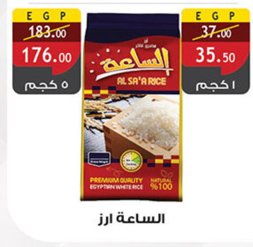 Calrose Rice available at Al Rayah Market   in Egypt - Cairo