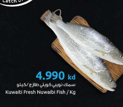 available at The Sultan Center in Kuwait - Ahmadi Governorate