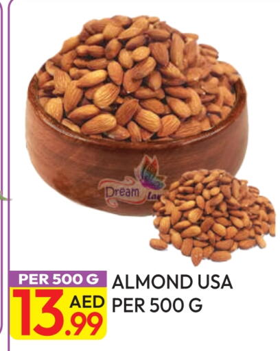 available at Dream Land in UAE - Dubai