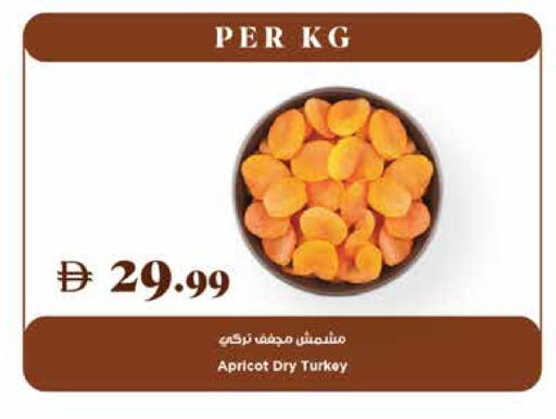Apricot available at تروليز سوبرماركت in الإمارات العربية المتحدة , الامارات - دبي