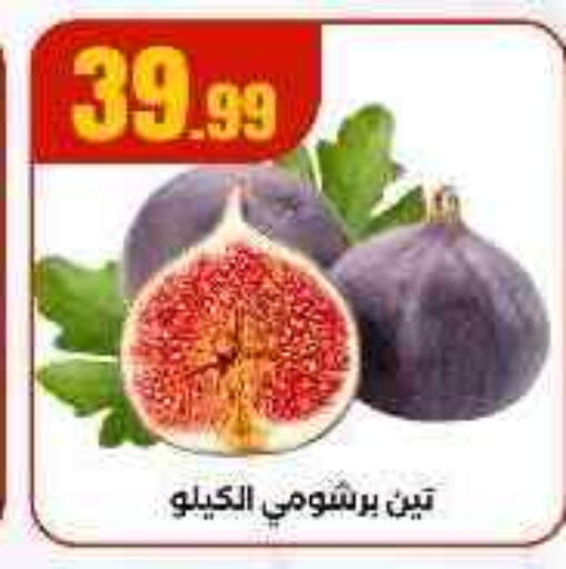 available at المحلاوي ستورز in Egypt - القاهرة