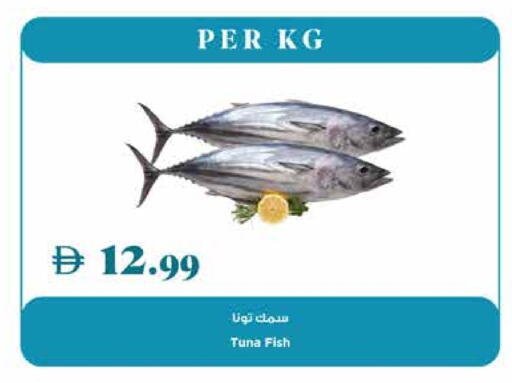 Tuna available at Trolleys Supermarket in UAE - Dubai