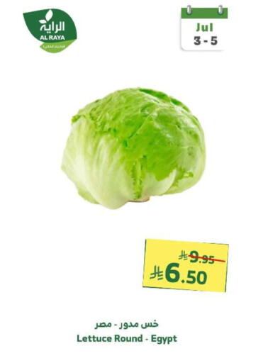 Fresh Vegetables in Al Raya, Saudi Arabia Offers - Saudi Arabia Lettuce from Egypt available at Al Raya in KSA, Saudi Arabia, Saudi - Khamis Mushait
