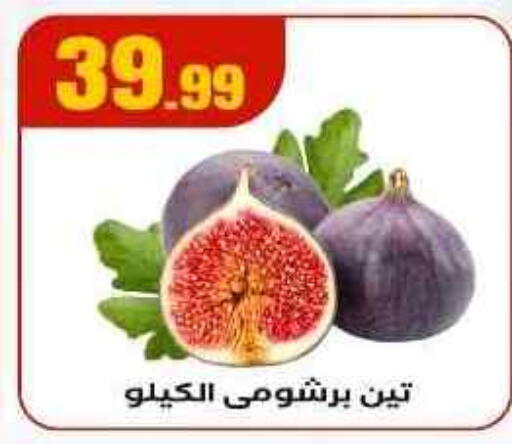 available at المحلاوي ستورز in Egypt - القاهرة