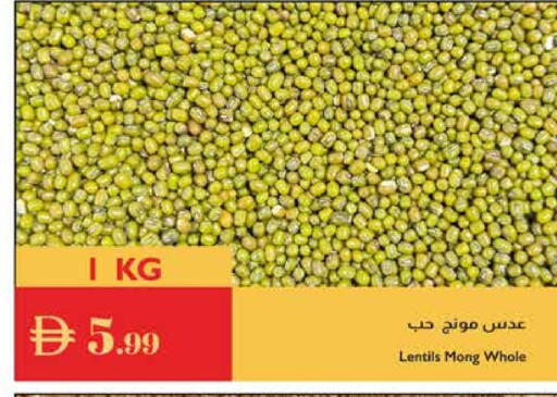 available at إسطنبول سوبرماركت in الإمارات العربية المتحدة , الامارات - دبي