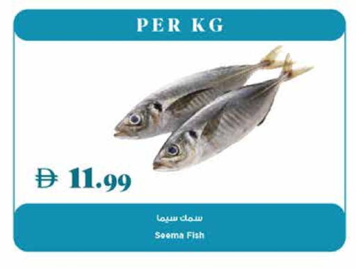 available at Trolleys Supermarket in UAE - Dubai