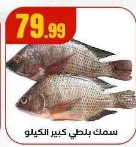 available at MartVille in Egypt - Cairo