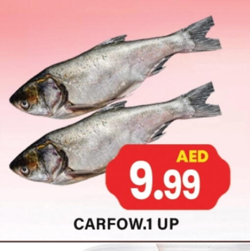 available at جلف هايبرماركت ذ.م.م in الإمارات العربية المتحدة , الامارات - رَأْس ٱلْخَيْمَة