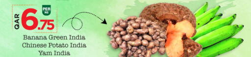Potato from India China available at Mark & Save  in Qatar - Al Daayen