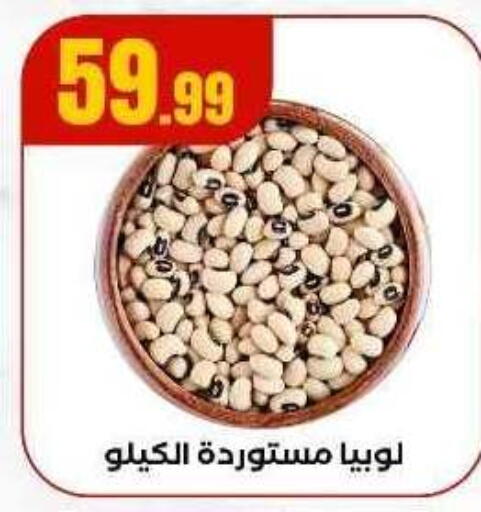 available at المحلاوي ستورز in Egypt - القاهرة