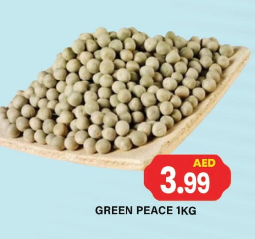 available at جلف هايبرماركت ذ.م.م in الإمارات العربية المتحدة , الامارات - رَأْس ٱلْخَيْمَة