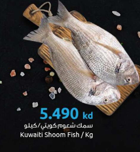 available at The Sultan Center in Kuwait - Ahmadi Governorate