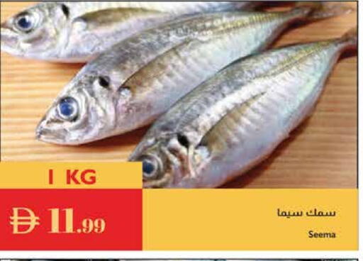available at Istanbul Supermarket in UAE - Dubai