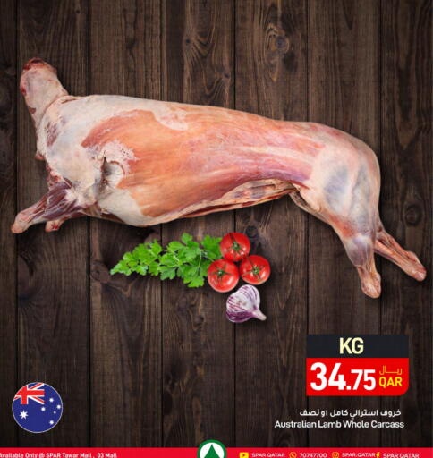 لحم الضأن / الغنم available at ســبــار in قطر - الضعاين