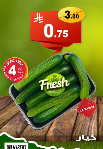 Fresh Vegetables in Smart Shopper, Saudi Arabia Offers - Saudi Arabia Cucumber available at Smart Shopper in KSA, Saudi Arabia, Saudi - Khamis Mushait