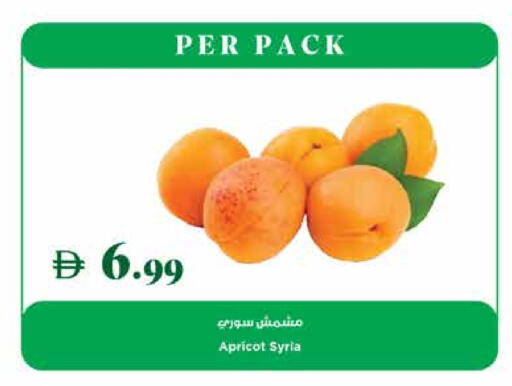 Apricot available at تروليز سوبرماركت in الإمارات العربية المتحدة , الامارات - دبي