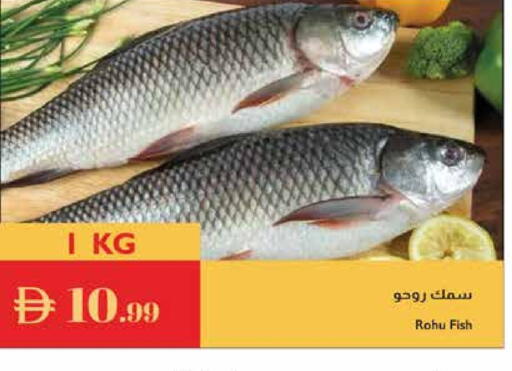 available at Istanbul Supermarket in UAE - Abu Dhabi