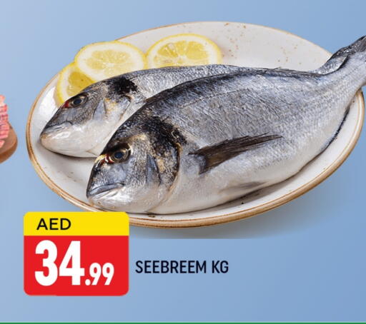 available at المدينة in الإمارات العربية المتحدة , الامارات - دبي