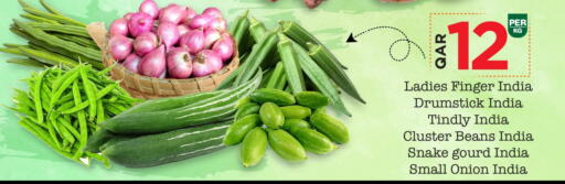 بصل from India available at مارك & سيف in قطر - الشحانية