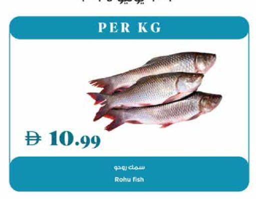 available at Trolleys Supermarket in UAE - Dubai