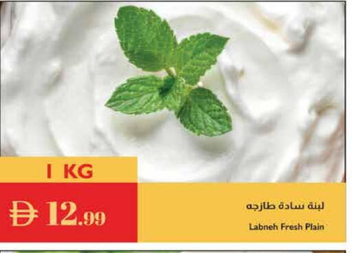 لبنة available at إسطنبول سوبرماركت in الإمارات العربية المتحدة , الامارات - أبو ظبي