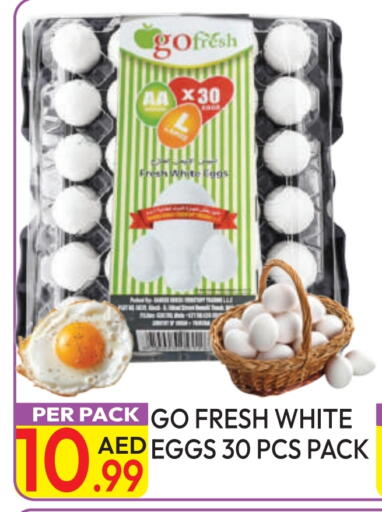 available at Dream Land in UAE - Dubai