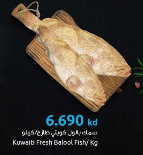 available at The Sultan Center in Kuwait - Ahmadi Governorate