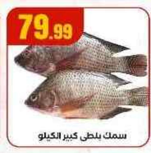 available at MartVille in Egypt - Cairo