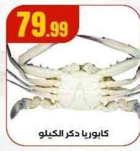 available at المحلاوي ستورز in Egypt - القاهرة
