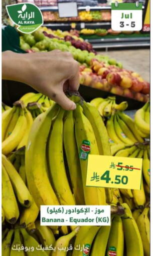 Banana available at الراية in مملكة العربية السعودية, السعودية, سعودية - الطائف