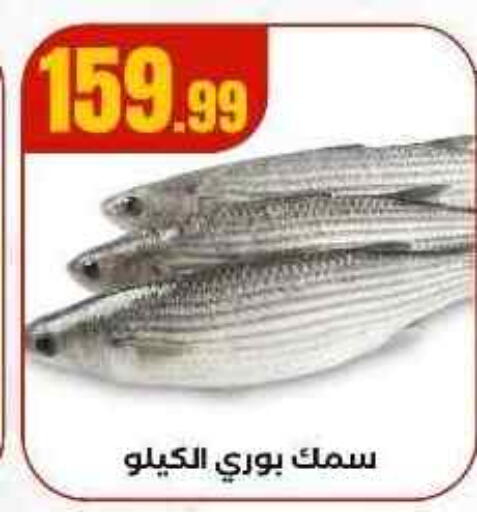 available at MartVille in Egypt - Cairo