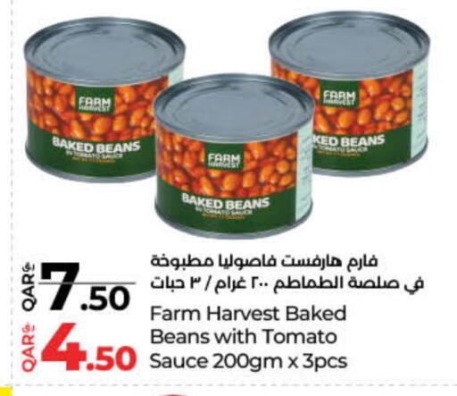 فاصوليا مخبوزة available at لولو هايبرماركت in قطر - الضعاين
