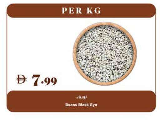 available at تروليز سوبرماركت in الإمارات العربية المتحدة , الامارات - دبي