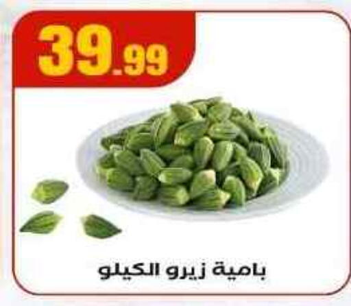 available at المحلاوي ستورز in Egypt - القاهرة
