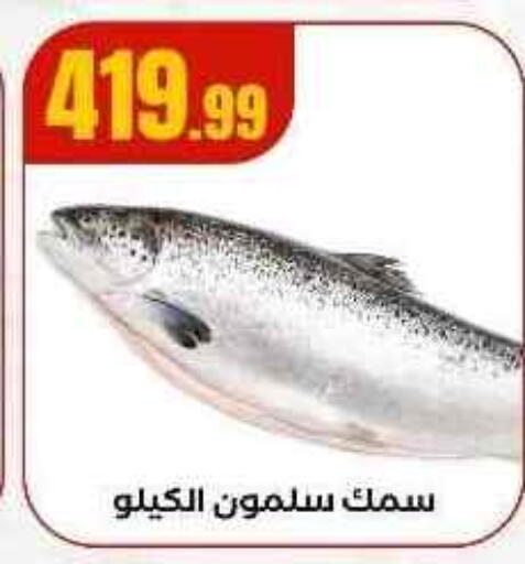 available at MartVille in Egypt - Cairo