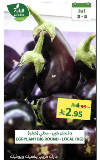 Fresh Vegetables in Al Raya, Saudi Arabia Offers - Saudi Arabia Eggplant available at Al Raya in KSA, Saudi Arabia, Saudi - Khamis Mushait