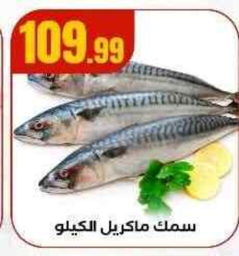 available at MartVille in Egypt - Cairo