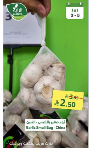 Fresh Vegetables in Al Raya, Saudi Arabia Offers - Saudi Arabia Garlic from China available at Al Raya in KSA, Saudi Arabia, Saudi - Khamis Mushait