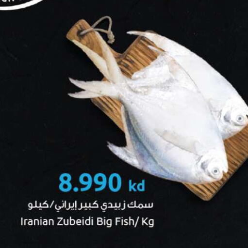 available at The Sultan Center in Kuwait - Ahmadi Governorate