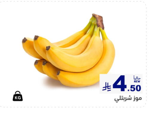 available at أسواق رامز in مملكة العربية السعودية, السعودية, سعودية - تبوك