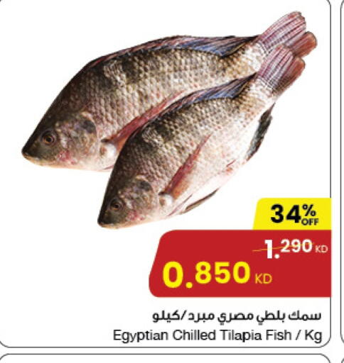 available at The Sultan Center in Kuwait - Ahmadi Governorate