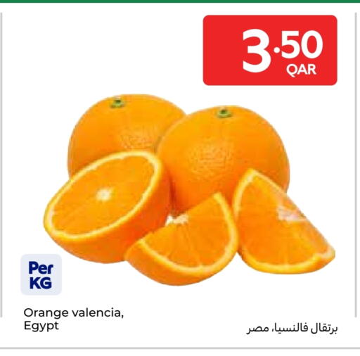 فاكهة طازجة in كارفور, قطر Offers - قطر برتقال from Egypt available at كارفور in قطر - الشحانية