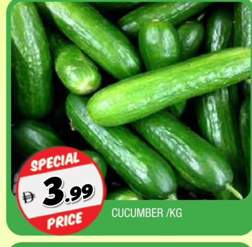 خيار available at المدينة in الإمارات العربية المتحدة , الامارات - الشارقة / عجمان