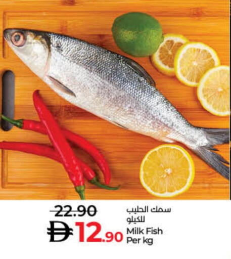 available at لولو هايبرماركت in الإمارات العربية المتحدة , الامارات - الشارقة / عجمان