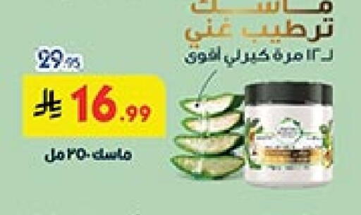 available at بن داود in مملكة العربية السعودية, السعودية, سعودية - الطائف